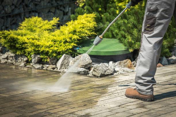 Best Solar Panel Cleaning  in Deridder, LA
