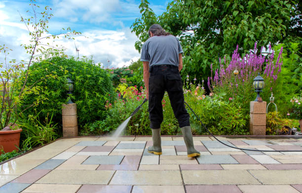 Best Sidewalk and Walkway Cleaning  in Deridder, LA